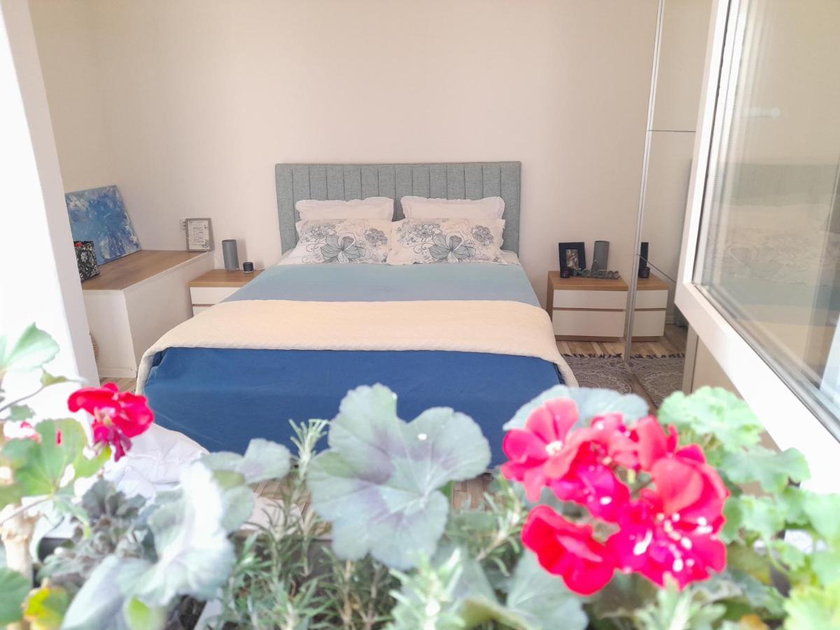 Apartament Nautica Free Parking Szybenik Zewnętrze zdjęcie